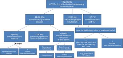 Not only acute respiratory failure: COVID-19 and the post-intubation/tracheostomy upper airways lesions†